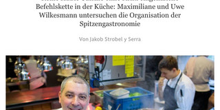 Titelbild der Rezension in der FAZ Online Ausgabe